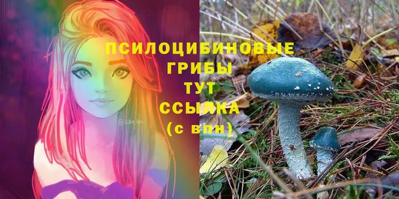 Галлюциногенные грибы Magic Shrooms  Кондрово 